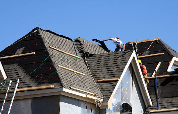 Best Shingle Roofing Installation  in Eerlin, ND