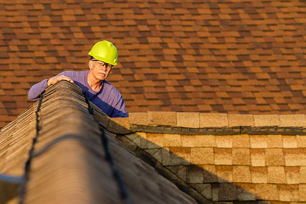 Best Roof Maintenance Services  in Eerlin, ND